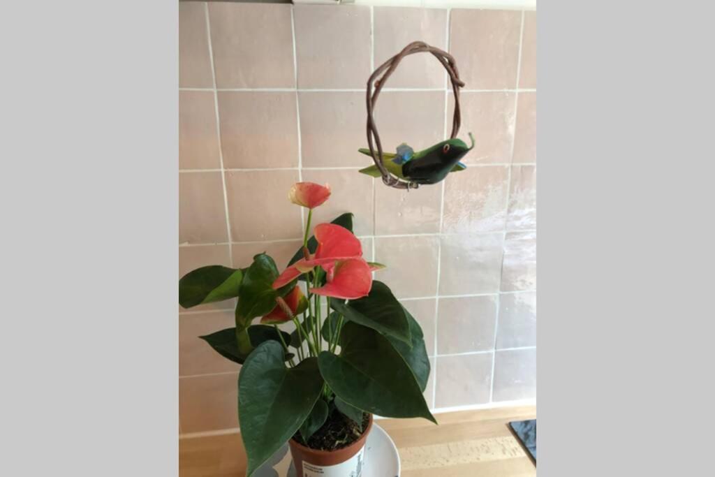 Apartamento Ma Petite Versalles